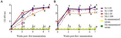 Identification of Eimeria tenella sporozoite immunodominant mimotopes by random phage-display peptide libraries–a proof of concept study